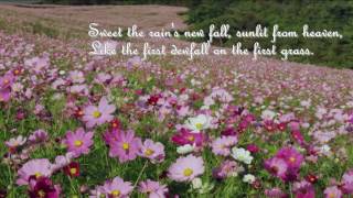 Morning has broken / Anthony Ventura Orchestra