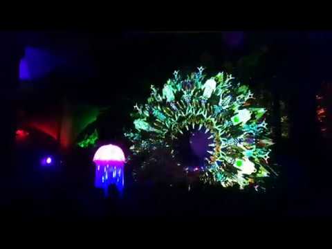 Frantic Noise @ Space Safari 2019 part 1