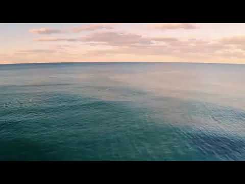 Espaço aberto com Daniella Fernandes / Rodrigo Dias - Vice-prefeito de