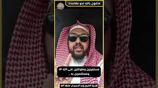 صورة المضي قدما بالله وعدم الالتفات لنباح الكلاب !