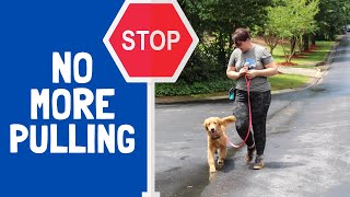 Tips and Tricks for Loose Leash Walking