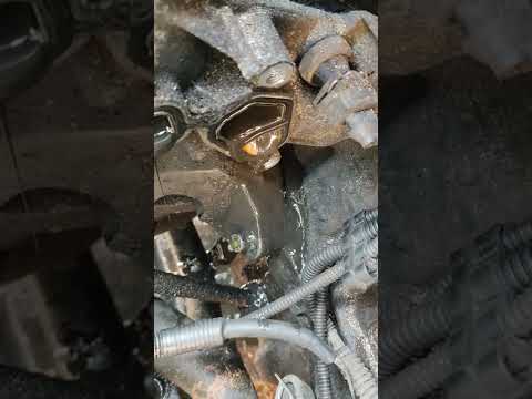 Rover 75 diesel losing coolant, oil mixing with coolant.