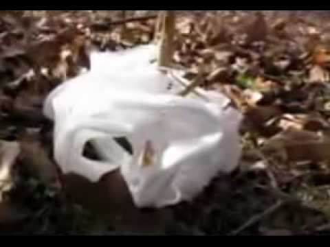 York Ft Angelina - iceflowers Aly & fila remix