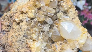 Crystal Hunting Mcadoo PA Evening / Night 🌙Rockhounding POINTS & CLUSTERS Found #pennsylvania