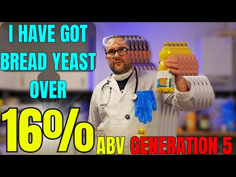 How high can bread yeast ferment an alcoholic drink?