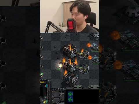 Infestation Problem? No Problem