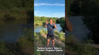 Reduce Stress & Relax in Minutes | Beginner Qigong #taichi #qigong #martialarts #toddszen