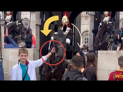 Unbelievable Moments! The tourists grabbed the reins and pull the king’s guard horse!