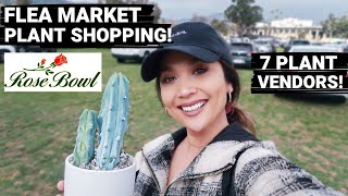 Plant Shopping at the FLEA MARKET! | LOTS of PLANT Vendors!