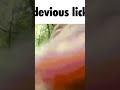 So devious (sub to SmolBrain because he made it) #shorts #deviouslick