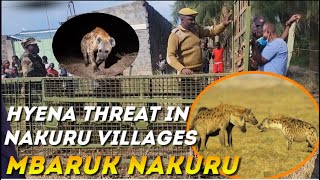 Hyena Terrorizes Mbaruk Village – Residents in Fear