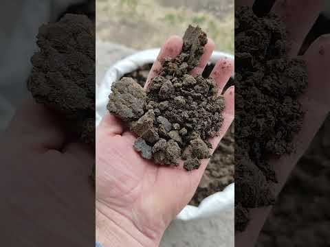 фото жмых подсолнечный 0