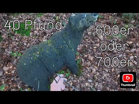 3d Parcours Sächsische Schweiz, Pfeiltest, Parcoursvorstellung