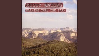 Walking Thru the Park