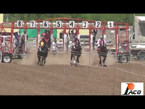 CORRA LOLA SOHAR 19 12 21