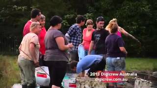 Australian Turtle Rescue Central Coast New South Wales