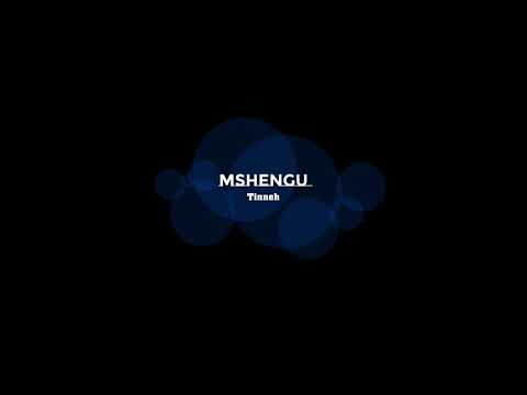 Tineh - Dlala Mshengu