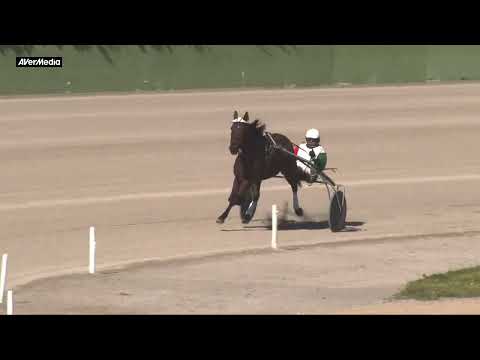 Prova di qualifica 5 anni ed oltre - giovedì 2 marzo 2023