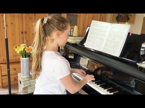 Andante aus der Sinfonie Nr.94 G-Dur Hob.1:94 „Mit dem Paukenschlag" Joseph Haydn(1732-1809)