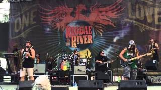Katchafire &quot;Collie Herb Man&quot; live at Reggae on he River 2015