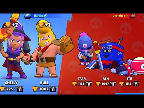 Bull Shelly Primo in Duels 🔥