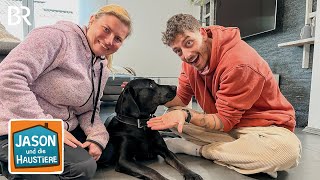 Ein Tag beim Hundetraining | Information für Kinder | Jason und die Haustiere | BR