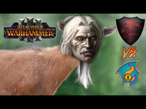 The GOAT of Warhammer | Vampire Counts vs Tzeentch - Total War Warhammer 3