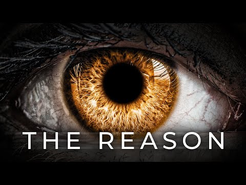 People Keep Looking But Don't See It - Alan Watts on Inner Peace