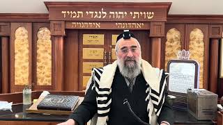 כמה זה מחצית השקל היום תענית אסתר תשפ״ו (הרב יצחק ישראלי) - התמונה מוצגת ישירות מתוך אתר האינטרנט יוטיוב. זכויות היוצרים בתמונה שייכות ליוצרה. קישור קרדיט למקור התוכן נמצא בתוך דף הסרטון