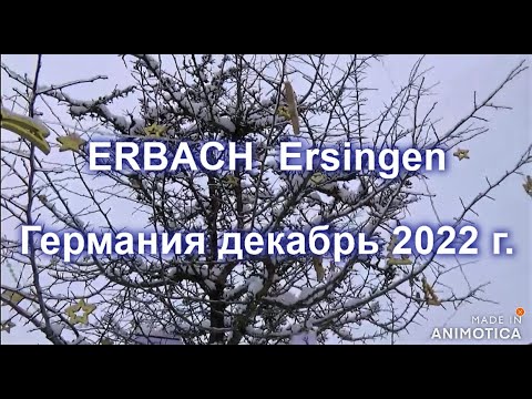 ERBACH Ersingen Германия декабрь 2022 г.