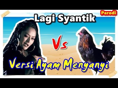 Lagi Syantik - Siti Badriah #Parodi versi Ayam