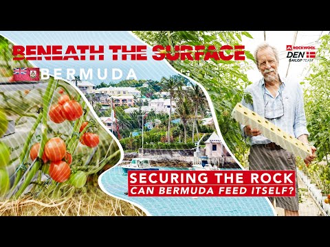Securing the Rock: Can Bermuda feed itself? // BTS Episode #25