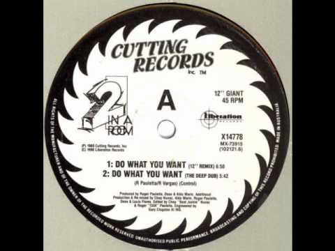 2 In A Room - Do What You Want (12 Inch Remix) (Cutting Records)