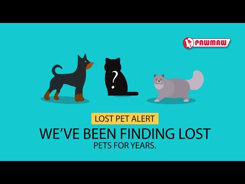 Lost Pet Alert | Find Your Lost Cat, Dog and Pets| PawMaw.com