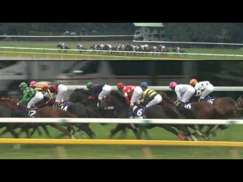 2009　JAPAN CUP