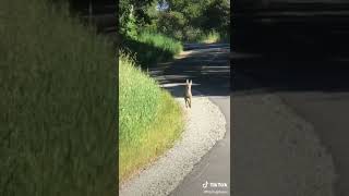 C’est le printemps je suis content