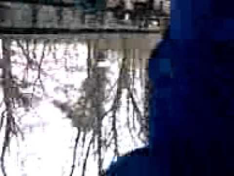 TRM WARY KACZY PROCEDER