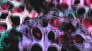 Radiohead - Bloom (Alternate Video) | The King Of Limbs