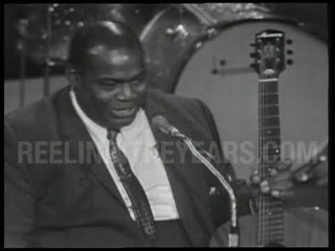 Willie Dixon • Weak Brain, Narrow Mind" • LIVE 1964 [Reelin' In The Years Archive]