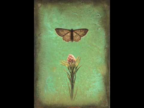 Most Beautiful Trance Songs - Part 20