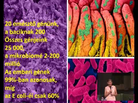 Aszcariasis táblázat