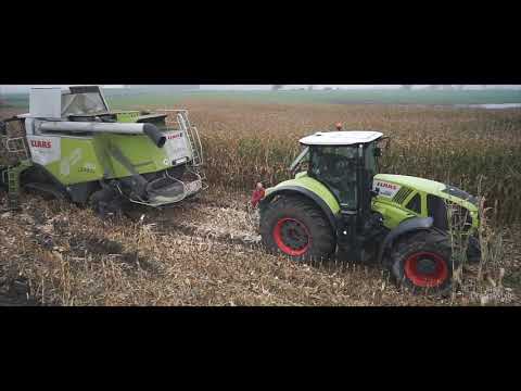 hqdefault Claas Lexion 750 TerraTrac w mokrym zbiorze kukurydzy na ziarno