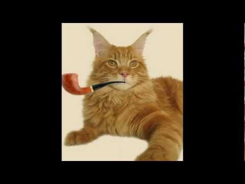 Opowiem Ci Bajke Jak Kot Palil Fajke