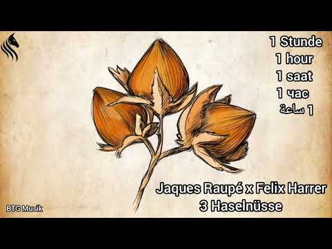 (1 hour) Jaques Raupé x Felix Harrer - 3 Haselnüsse (BTG Musik)