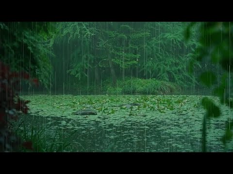 The beautiful little river is raining(266) , sleep, relax, meditate, study, work, ASMR