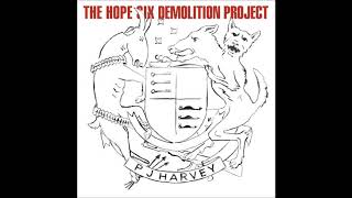 PJ Harvey - Near the Memorials to Vietnam and Lincoln