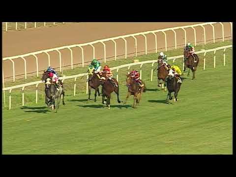 rm 20200628 05 p electrocutionist