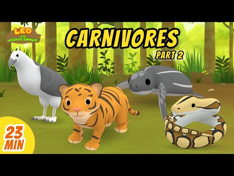 Carnivores Minisode Compilation (Part 2/6) - Leo the Wildlife Ranger | Animation | For Kids | Family