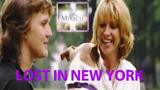 Boris' Adventure in New York - It's a Miracle - 6033
