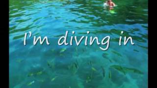 Dive Steven Curtis Chapman